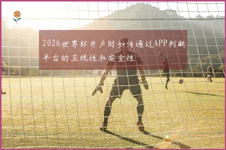 2026世界杯开户时如何通过APP判断平台的正规性和安全性