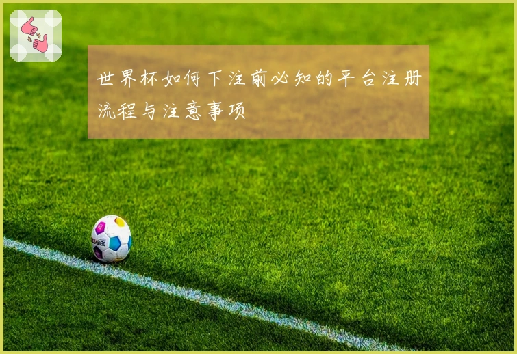 世界杯如何下注前必知的平台注册流程与注意事项